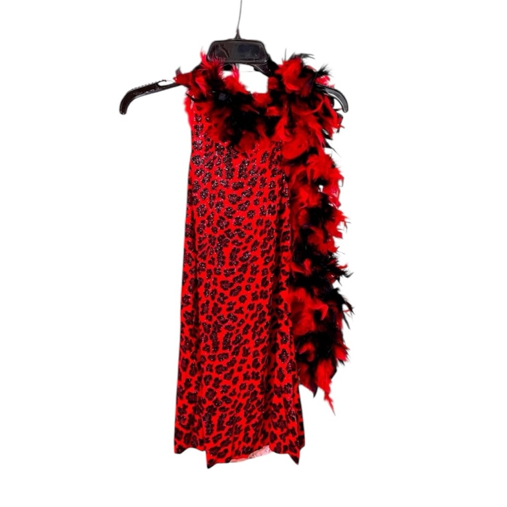 Dansco 3 Piece Leopard Velvet with Feathers Halloween Dance Costume Size Large